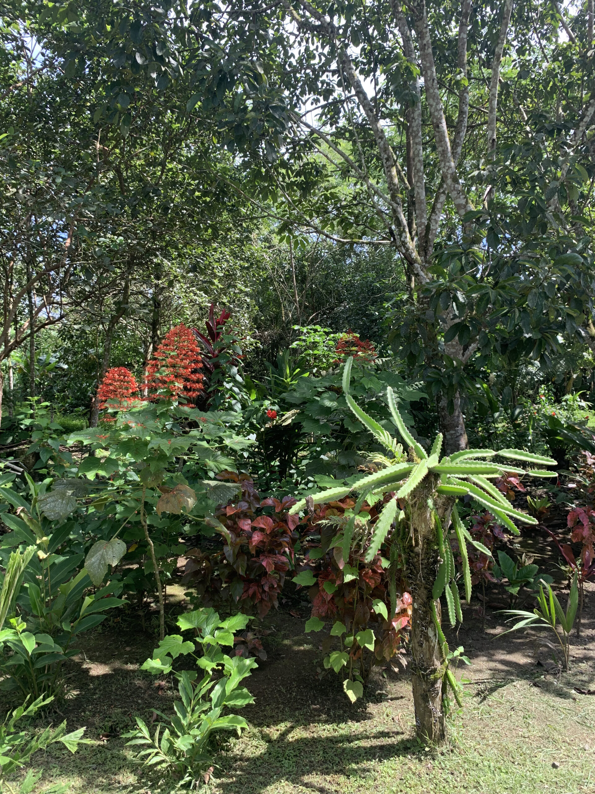 Yard 1