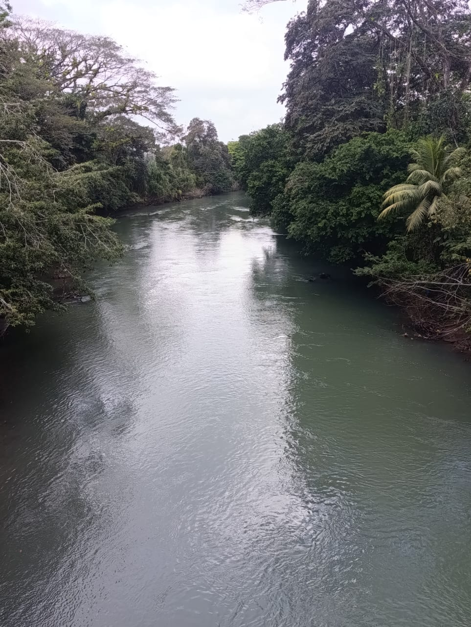 Río Niño seasonal flow