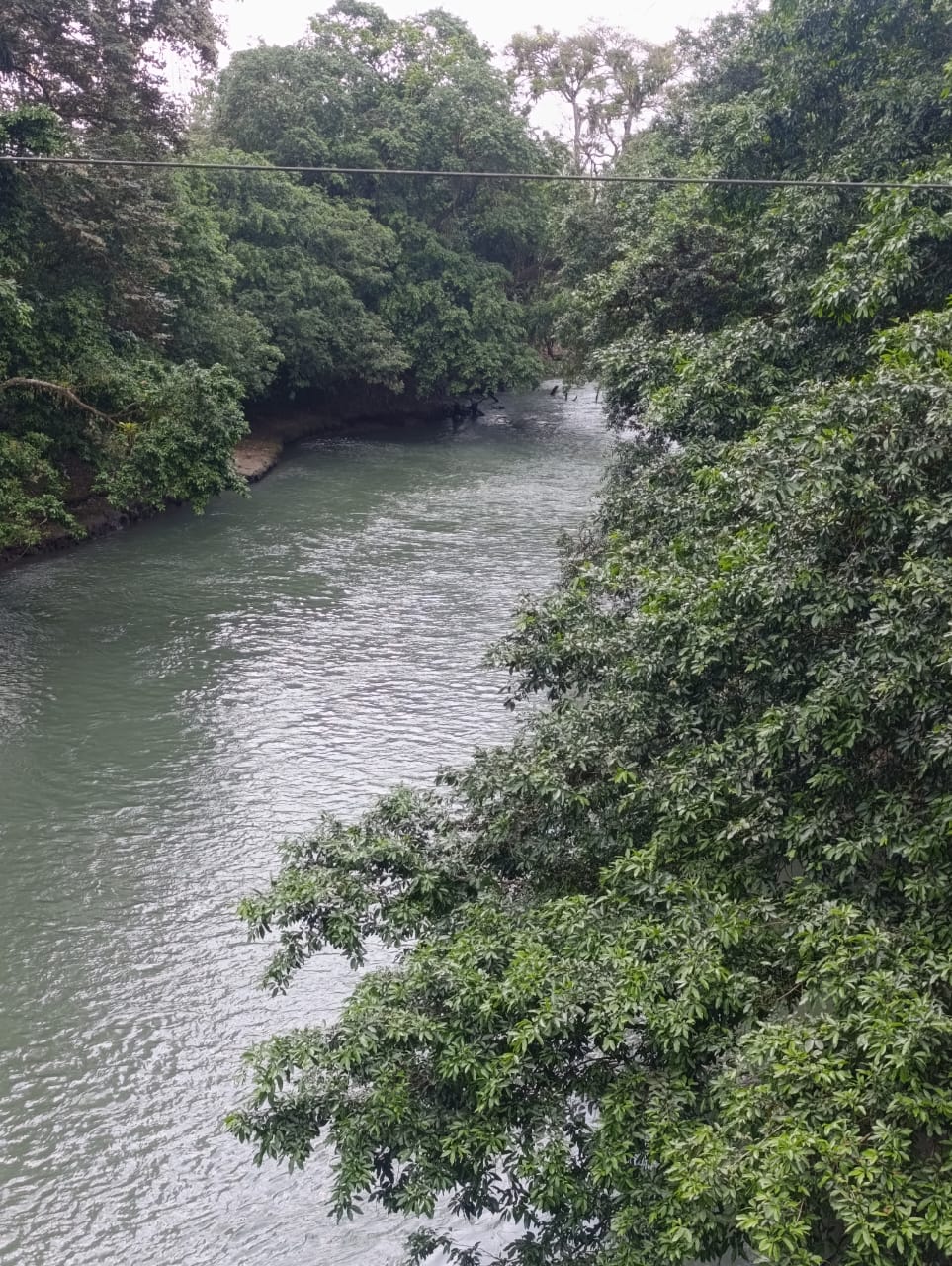 River wildlife float